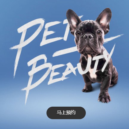 昂仁宠物中心小程序开发