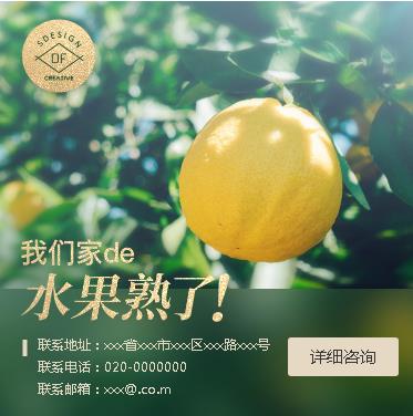 昂仁果园果林小程序开发